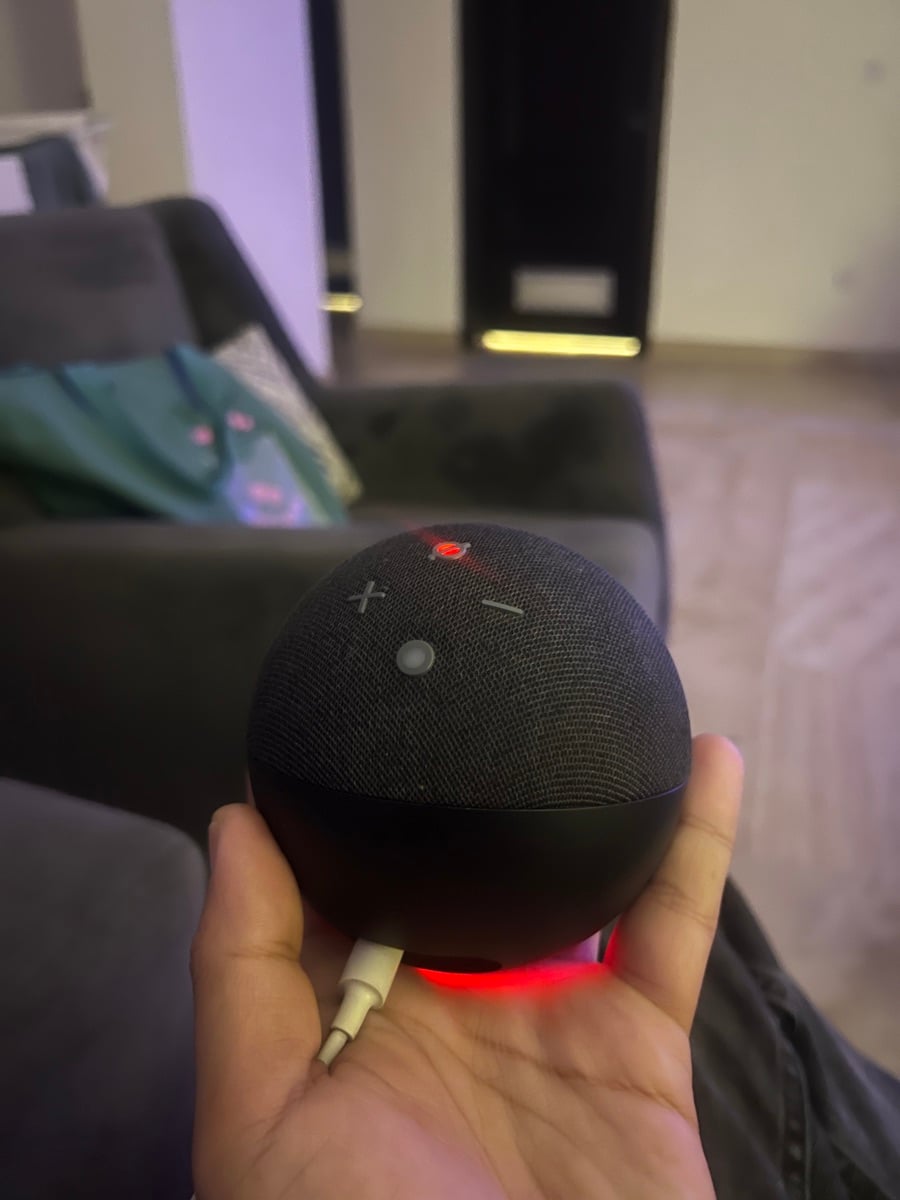Alexa - Image 1