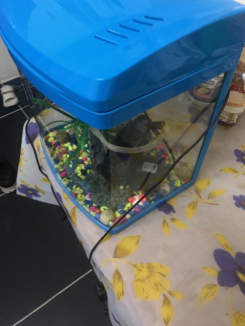 Fish Tank - Image 2