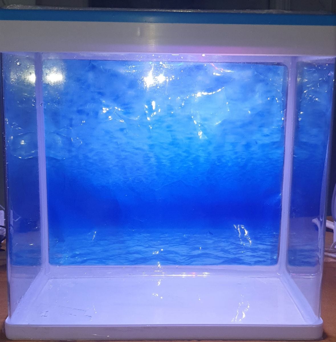 Used Fish Tank with Adjustable Light - Image 2