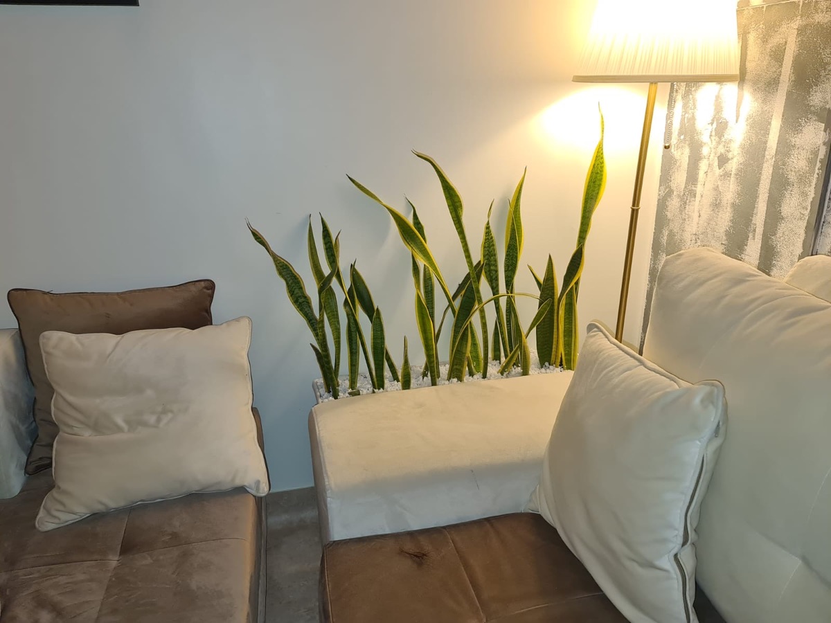Ultimate Comfort Sofa Set including the glass coffee table - Image 4