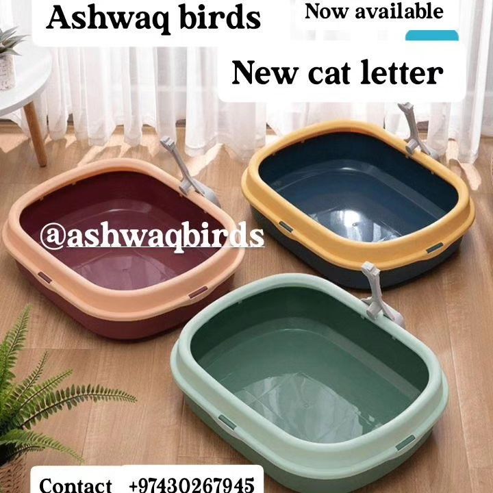 Cat letter box scop free new - Image 1