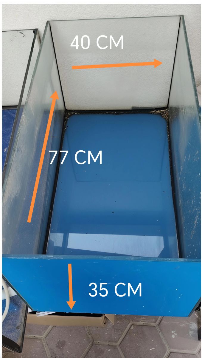 FISH TANK - Image 2