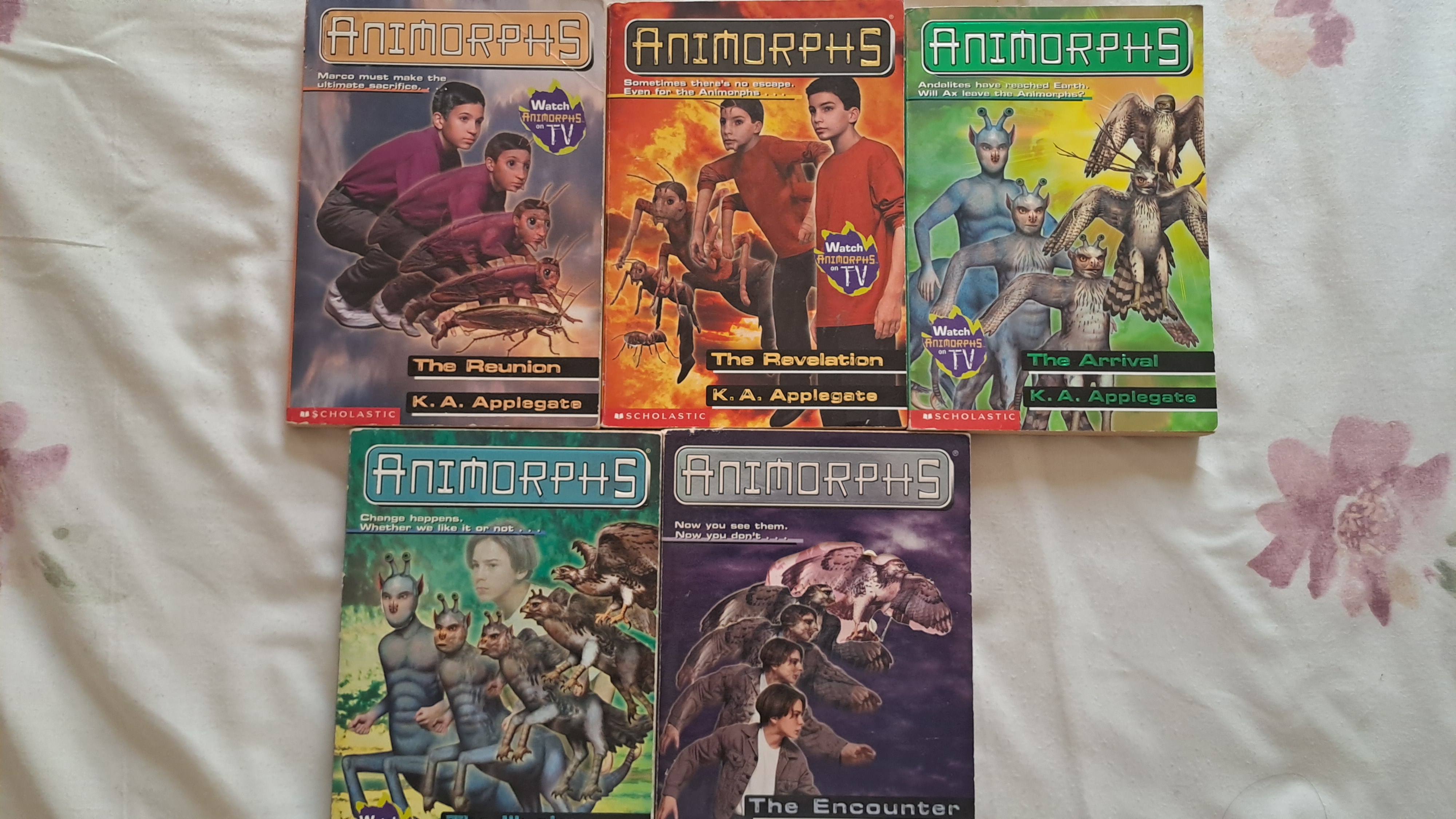 Kids story books(Tom Gates, Bignate, Animorphs, Goosebumps, Enyd Blyton, Percy Jackson) - Image 5