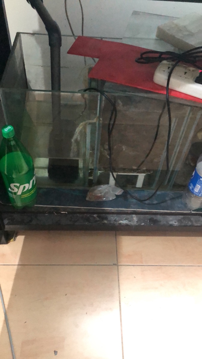 Fish tank / aquarium - Image 2