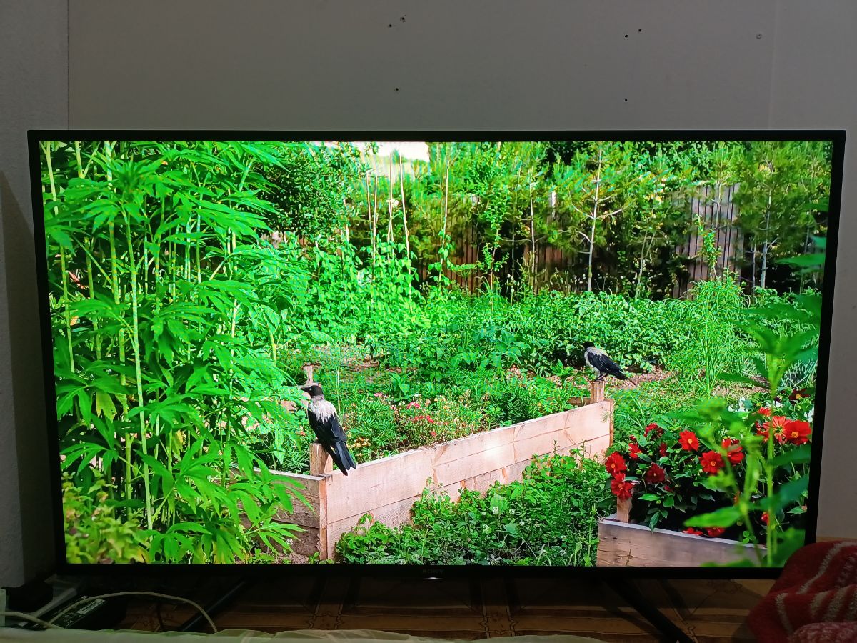 Sony Full HD Smart LED TV 50inch For Sale Call : 30350935 - Image 3