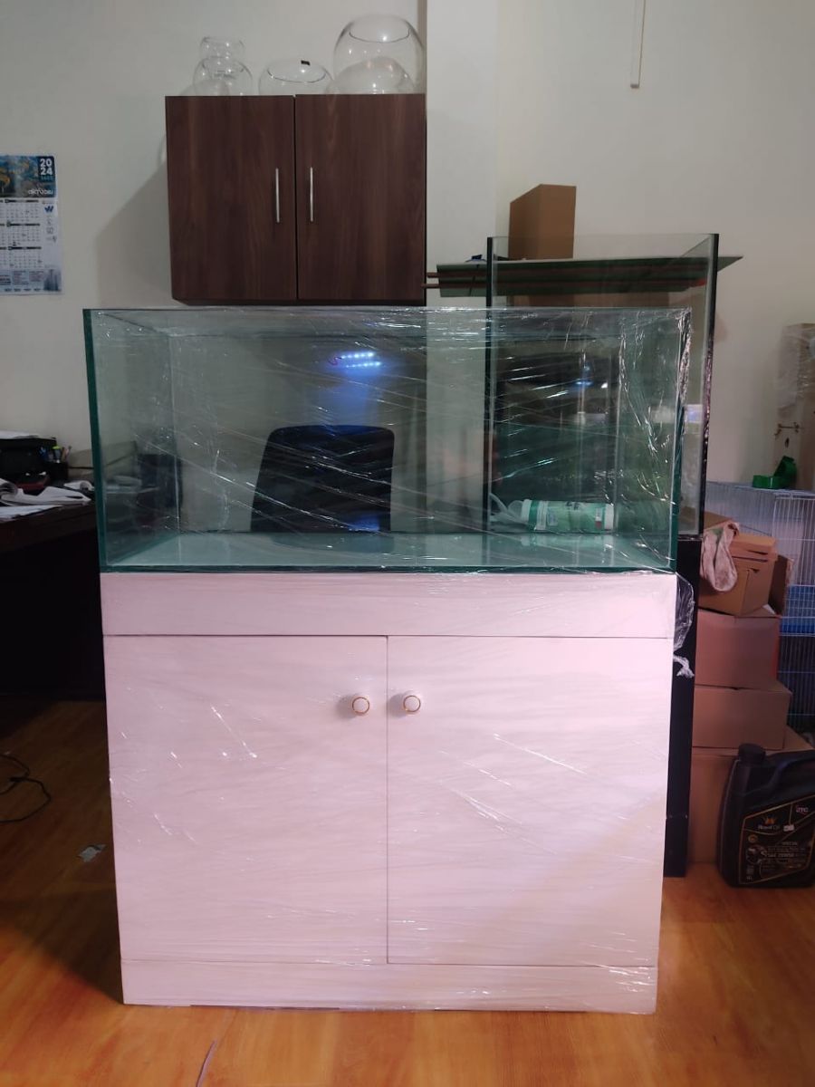 Aquarium  / Fish tank customized - Image 2