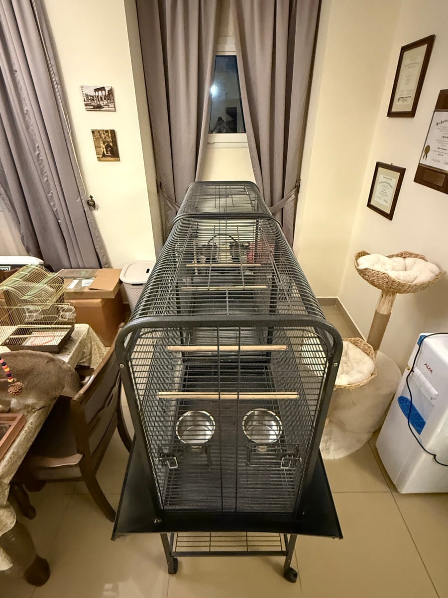 MASSIVE Bird Cage (with surround catch) - Image 3