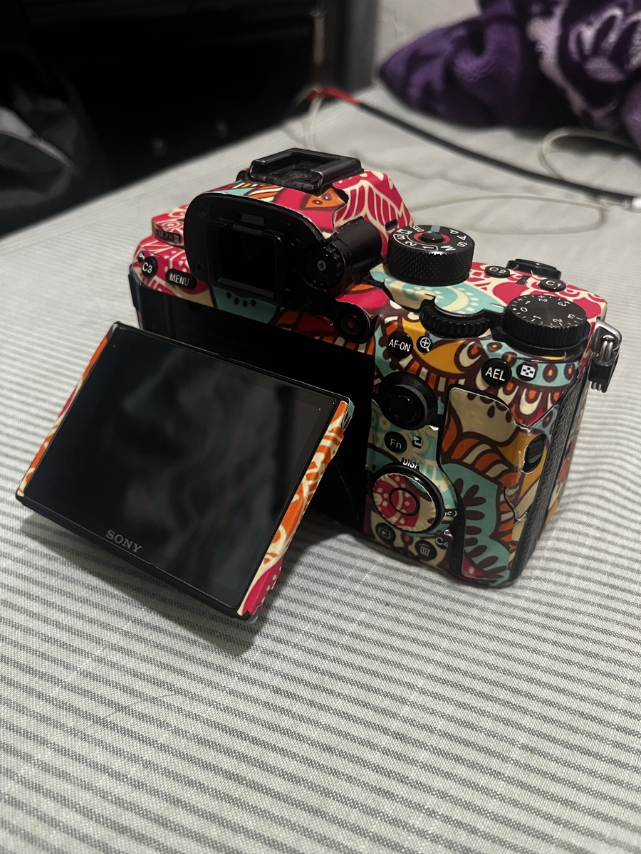 Sony Alpha 7R3 - Image 5