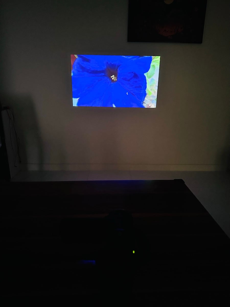 Sony Handycam with Projector - Image 8