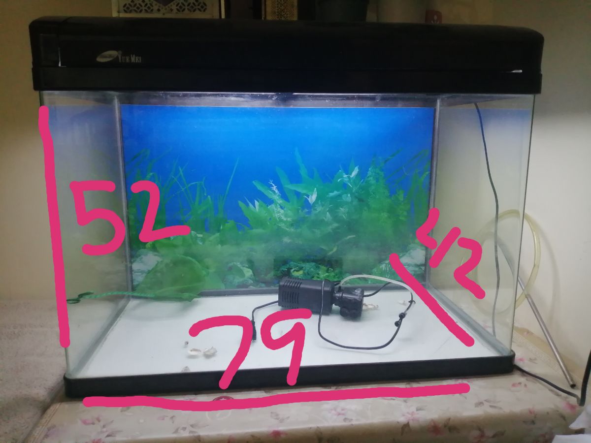 EQUARIUM - Image 3