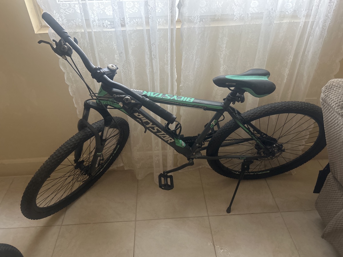Bicystar Bike - Image 1