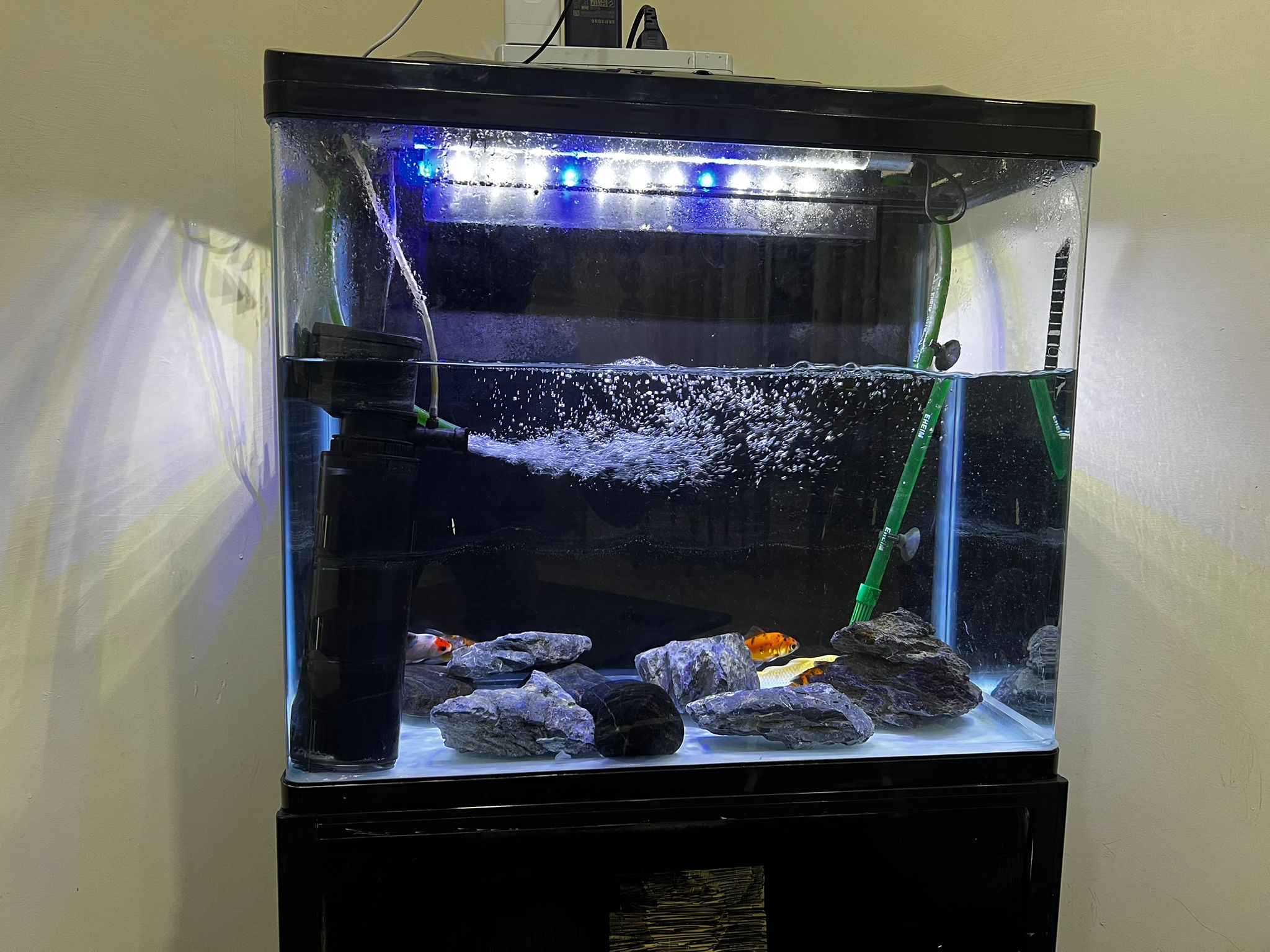 Aquarium tank with filter and all accessories for Urgent sale - Image 2