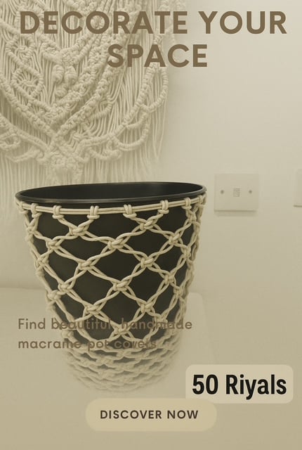 Snake Plants with Macrame Pot Cover - Image 3