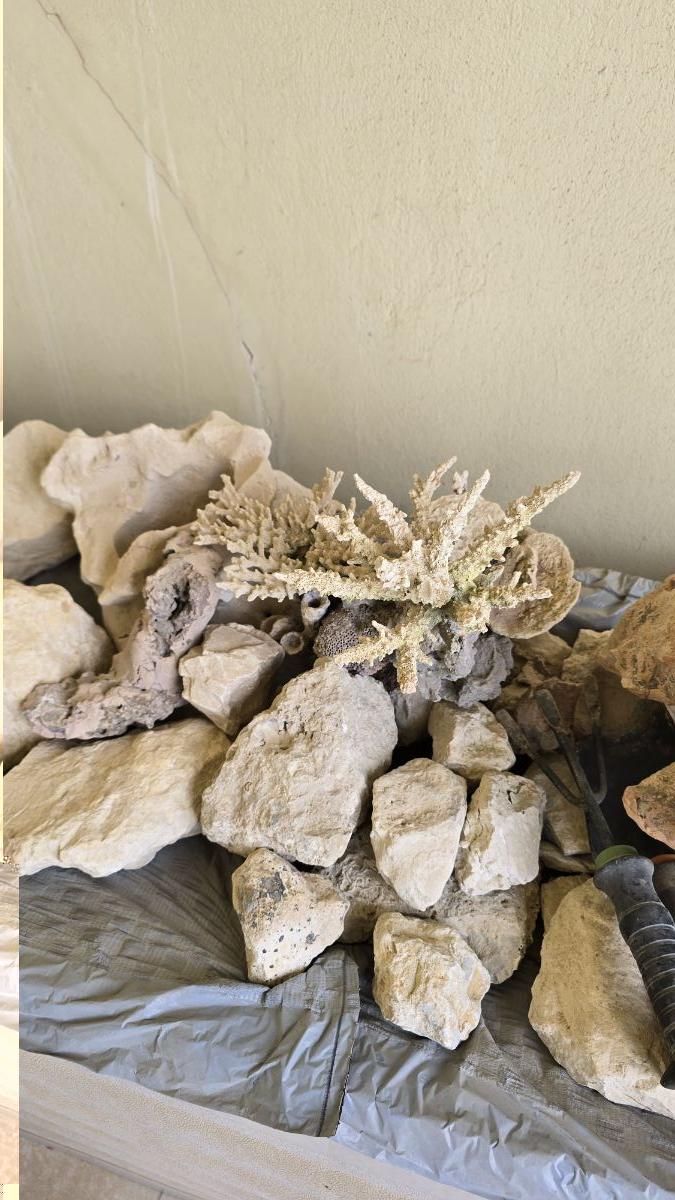 Aquarium Rocks For Sale - Image 5