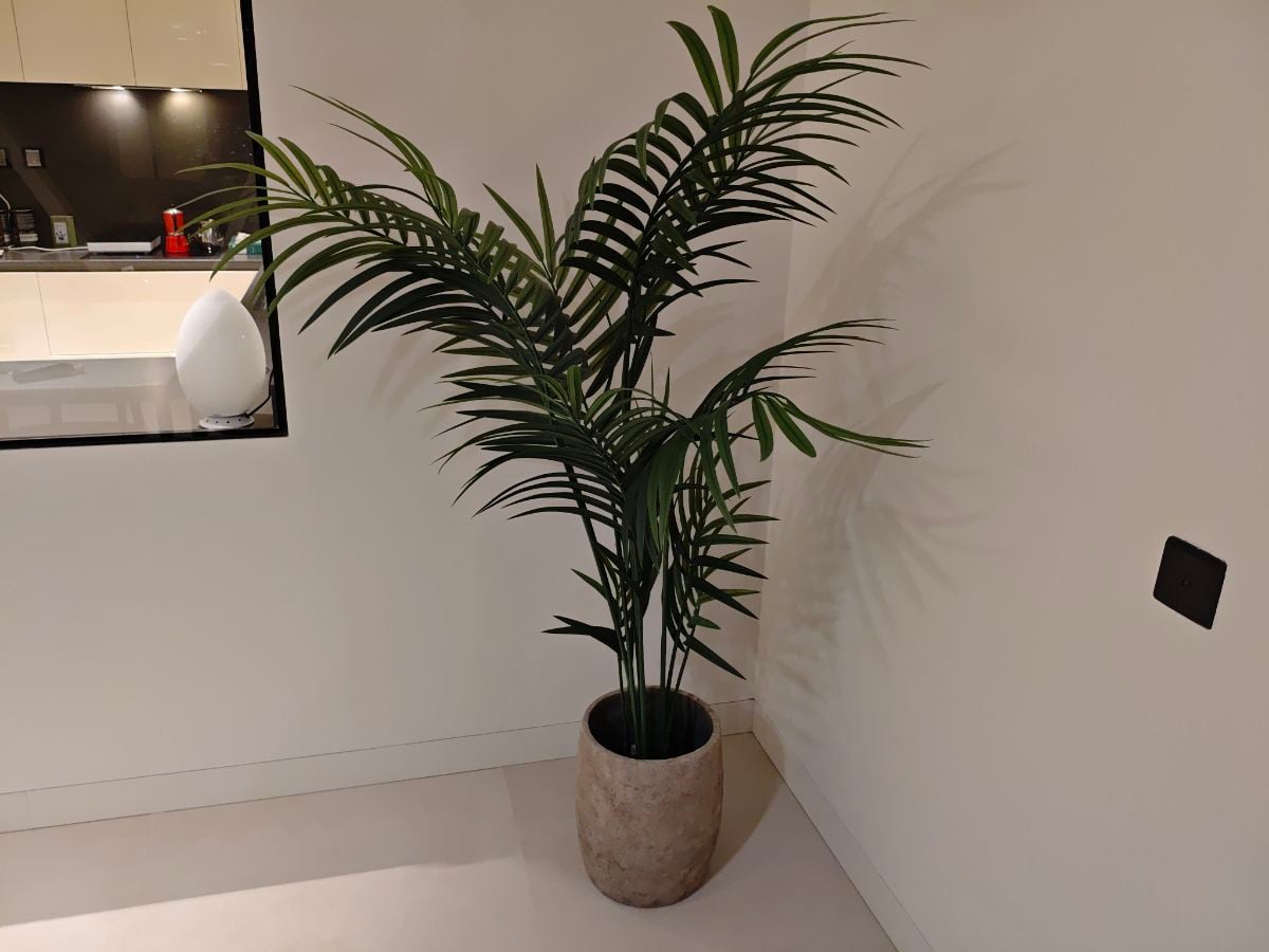 Artificial plant IKEA - Image 3