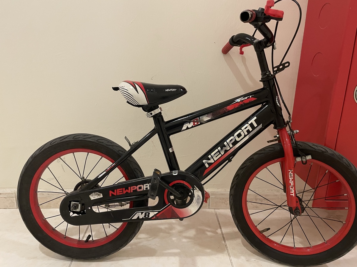 fish with fish tank Bicycles and Airtel receiver single steel bed - Image 16