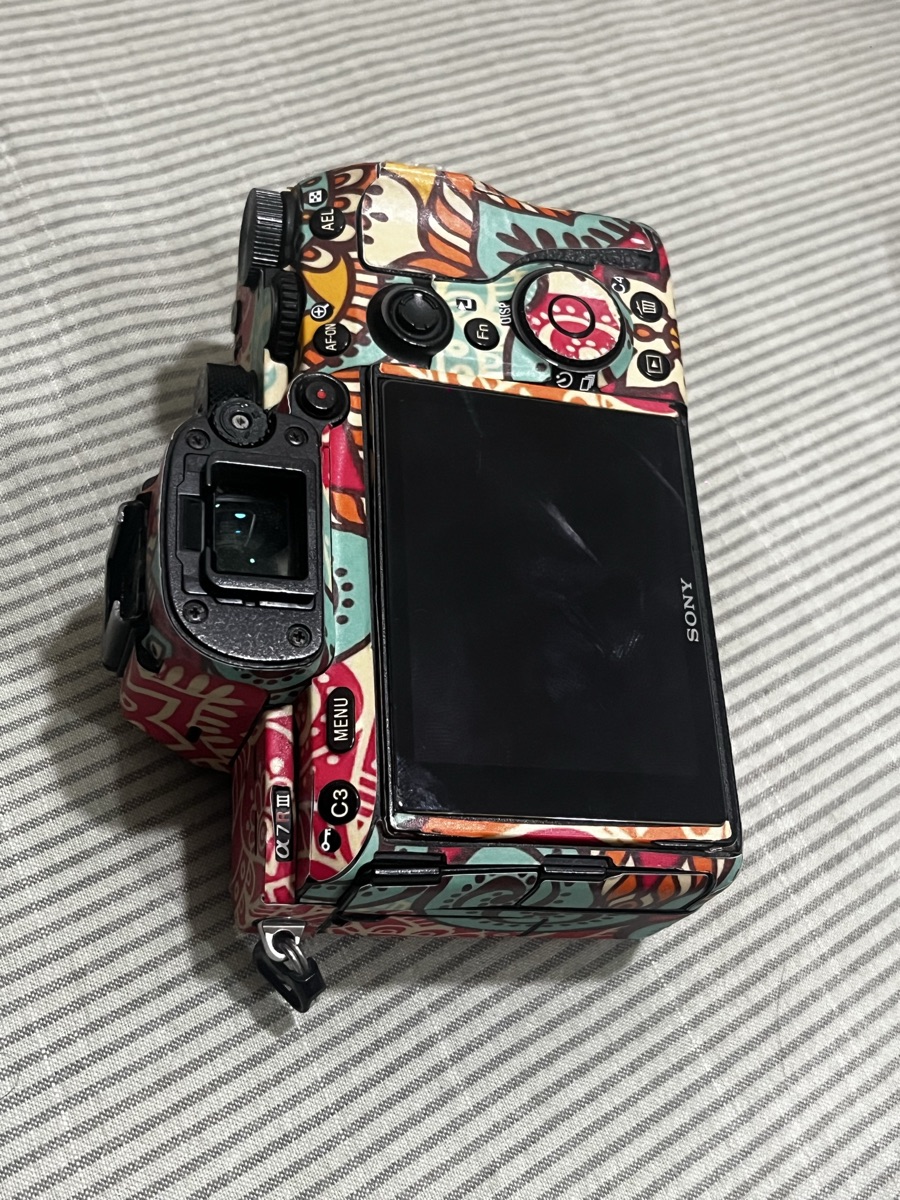 Sony Alpha 7R3 - Image 3