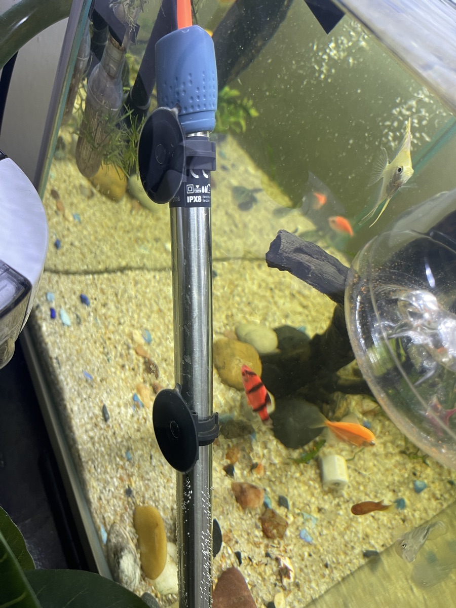 13 Gallon Glass Aquarium with Full accessories - Image 6