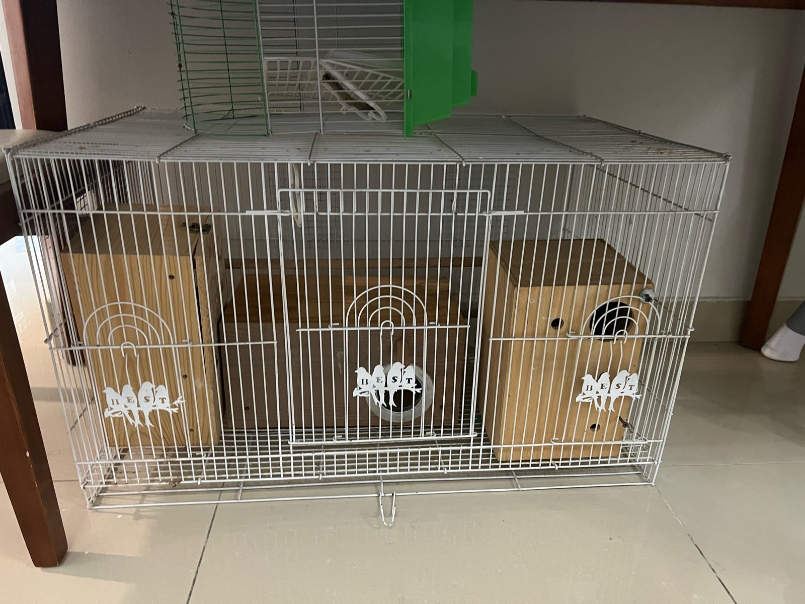 Cage free small cage and nest box - Image 1
