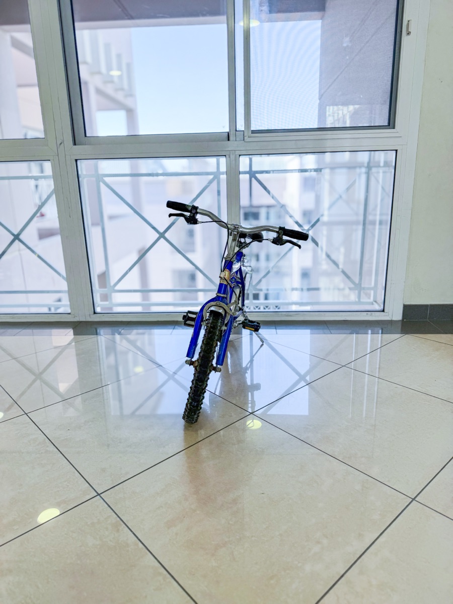 14 Philips Bicycle - Image 7