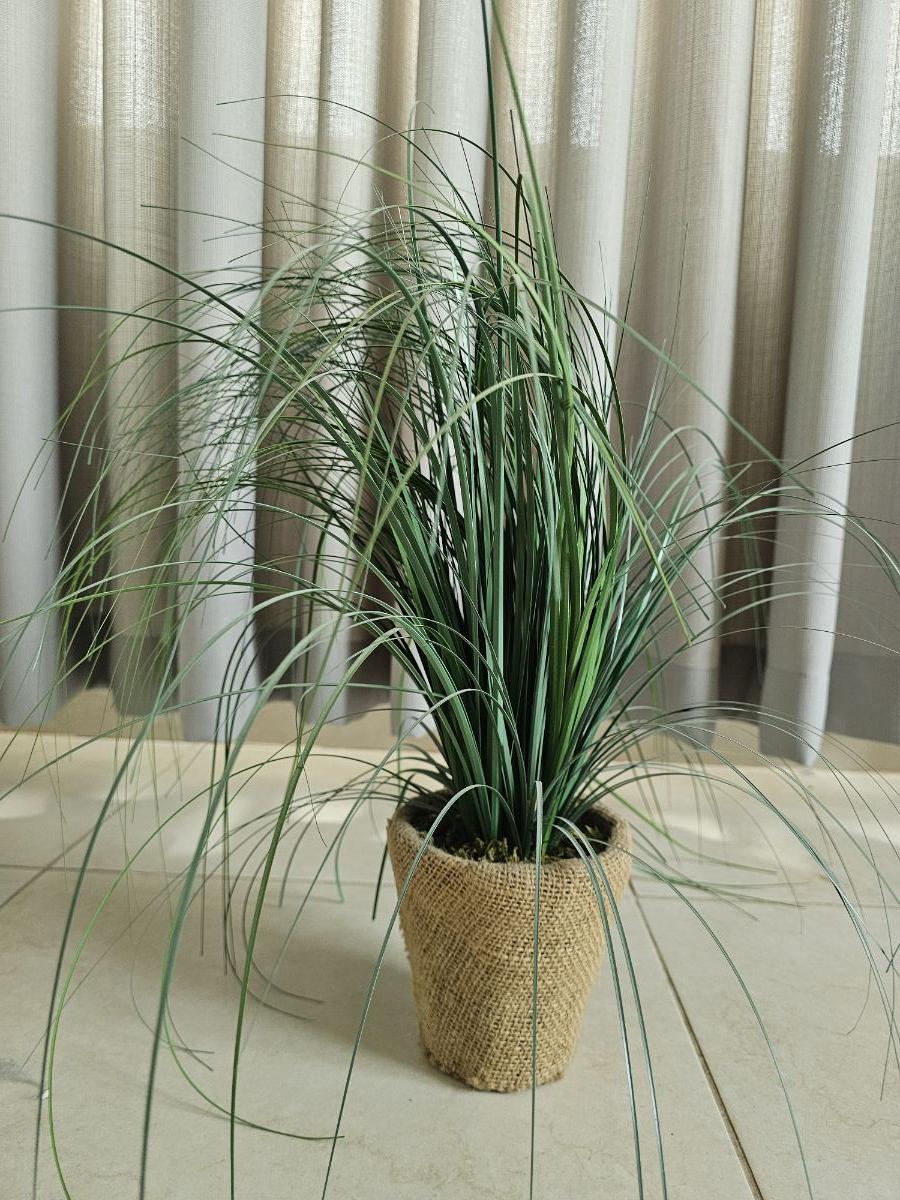 Coastal decor - Image 1