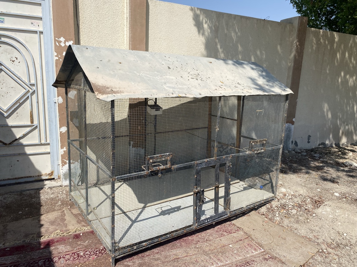 Chekin & birds cage for sale - Image 3