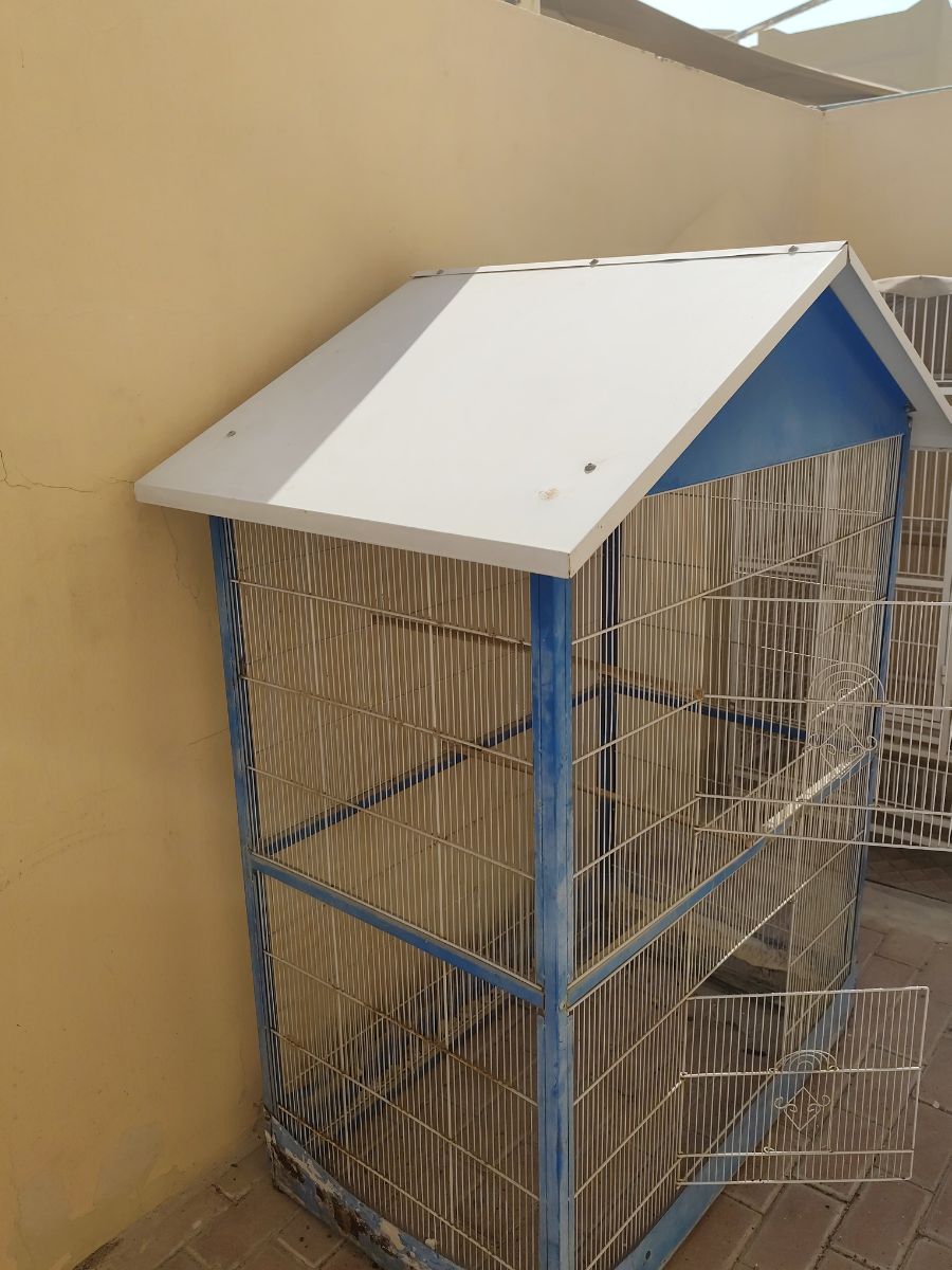 Big Birds cage - Image 5