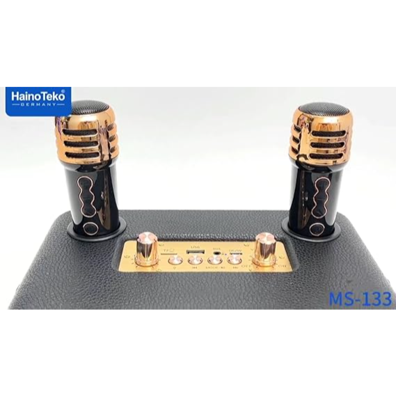 Haino Teko Germany MS133 Portable Bluetooth Wireless Speaker with 2 Wireless Mic - Image 4