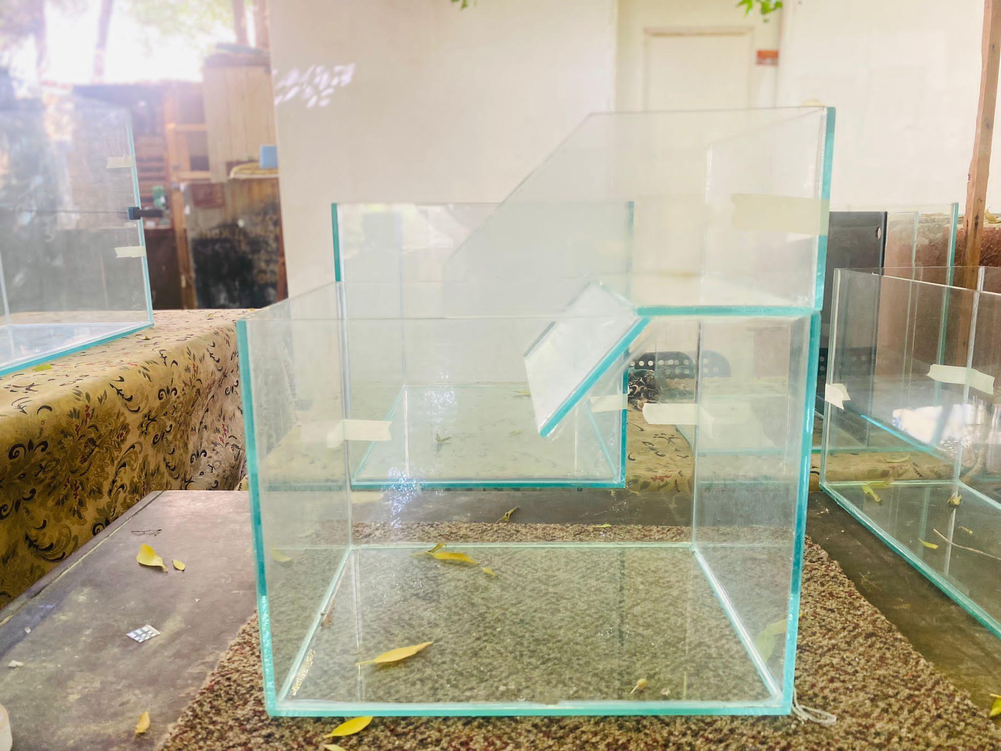 Turtle Aquarium - Image 1