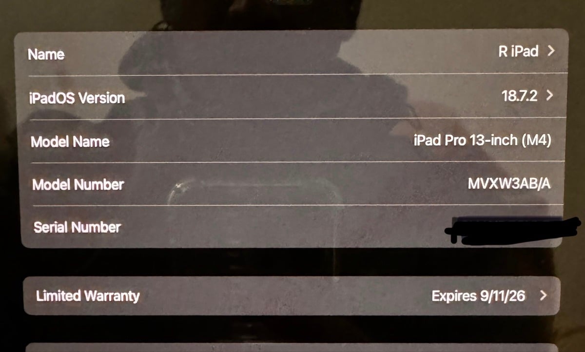 iPad Pro 13inch M4 1TB, original Apple case and Apple Pencil - Image 2