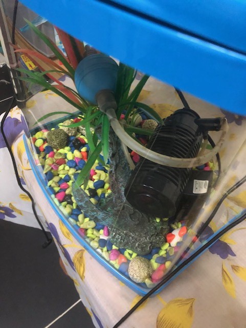 Fish Tank - Image 3