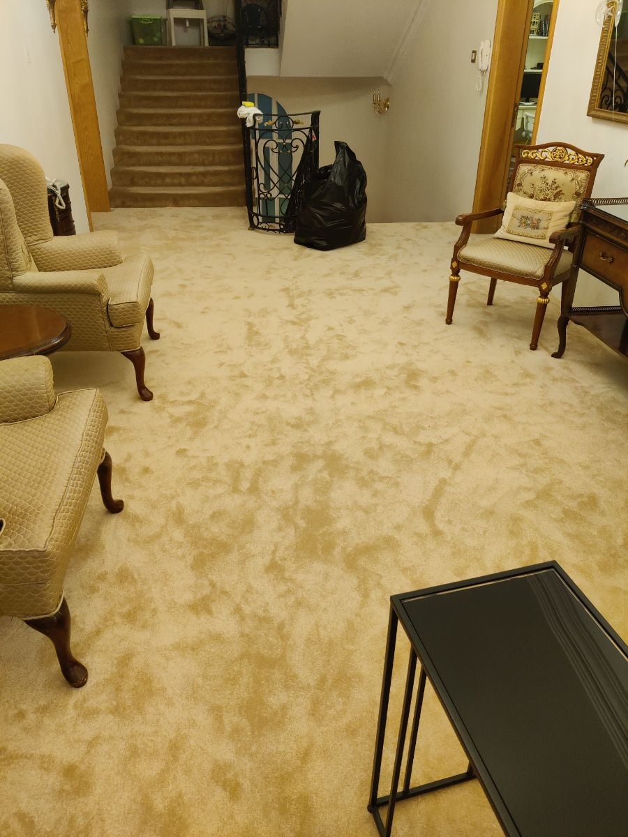 Turkey thick carpet - Image 3