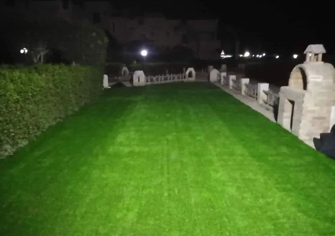 Grass carpet - Image 11