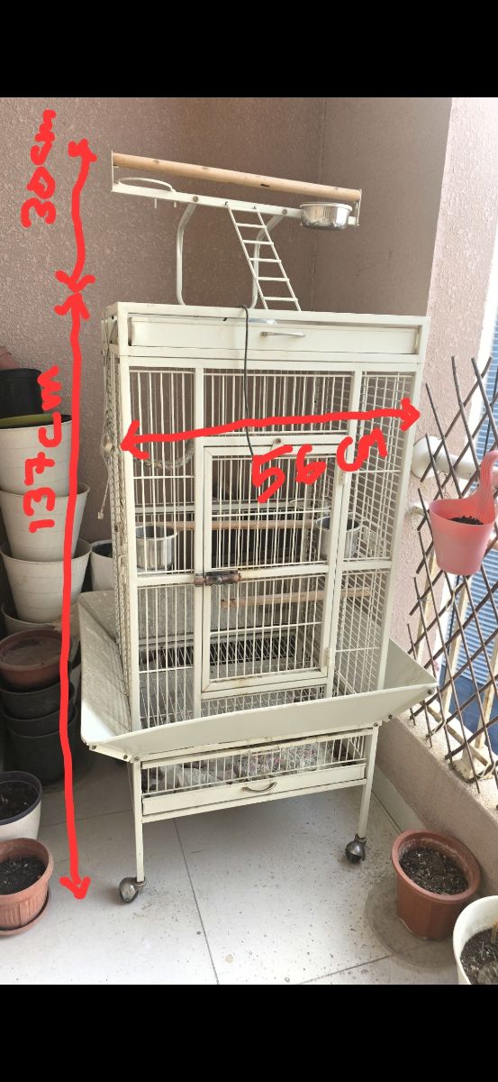 Cage for Big or Small Birds - Image 2