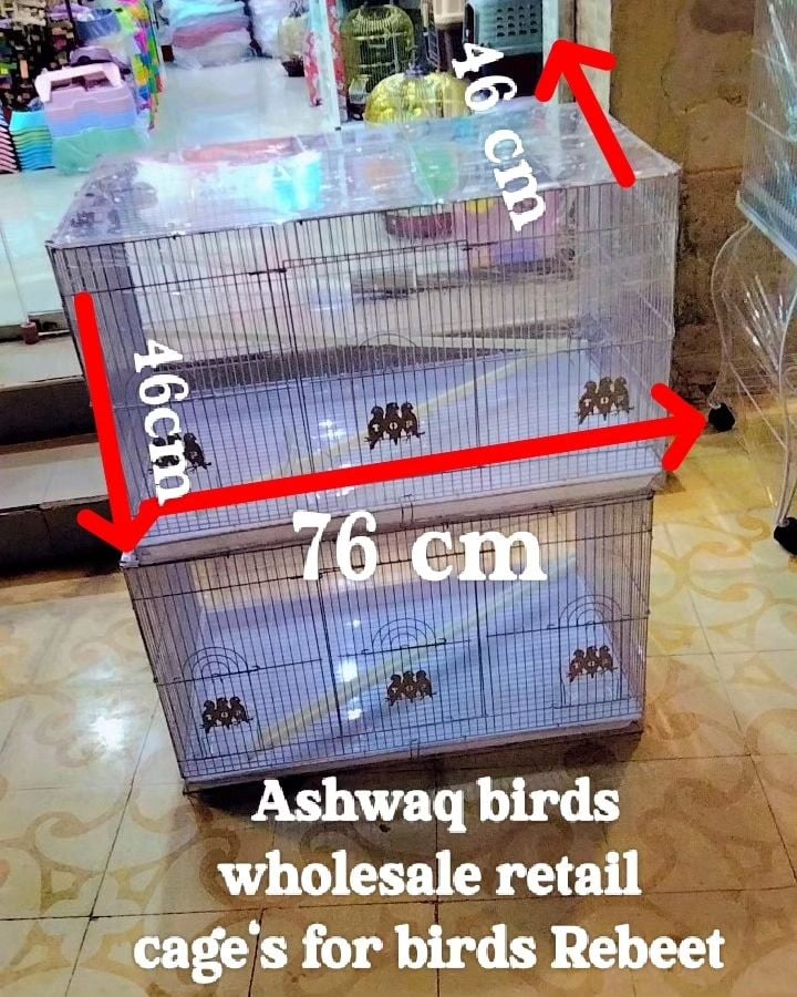 Birds cages new - Image 1