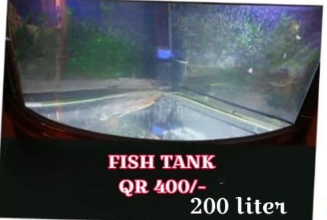 Big Fish Tank forsale - Image 1