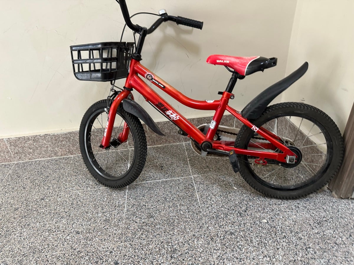 Bicycle - Image 4