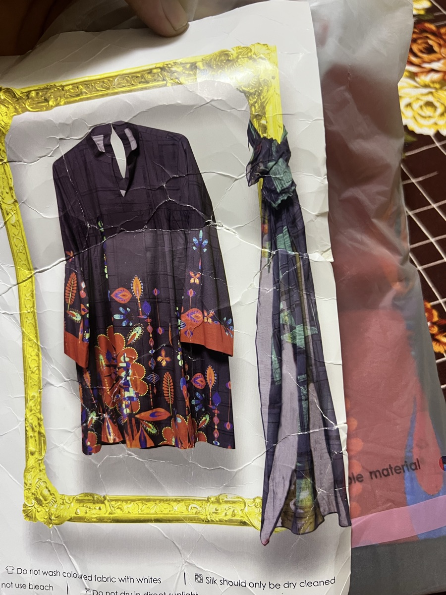 Pakistani/Indian branded dress high quality dress - Image 10