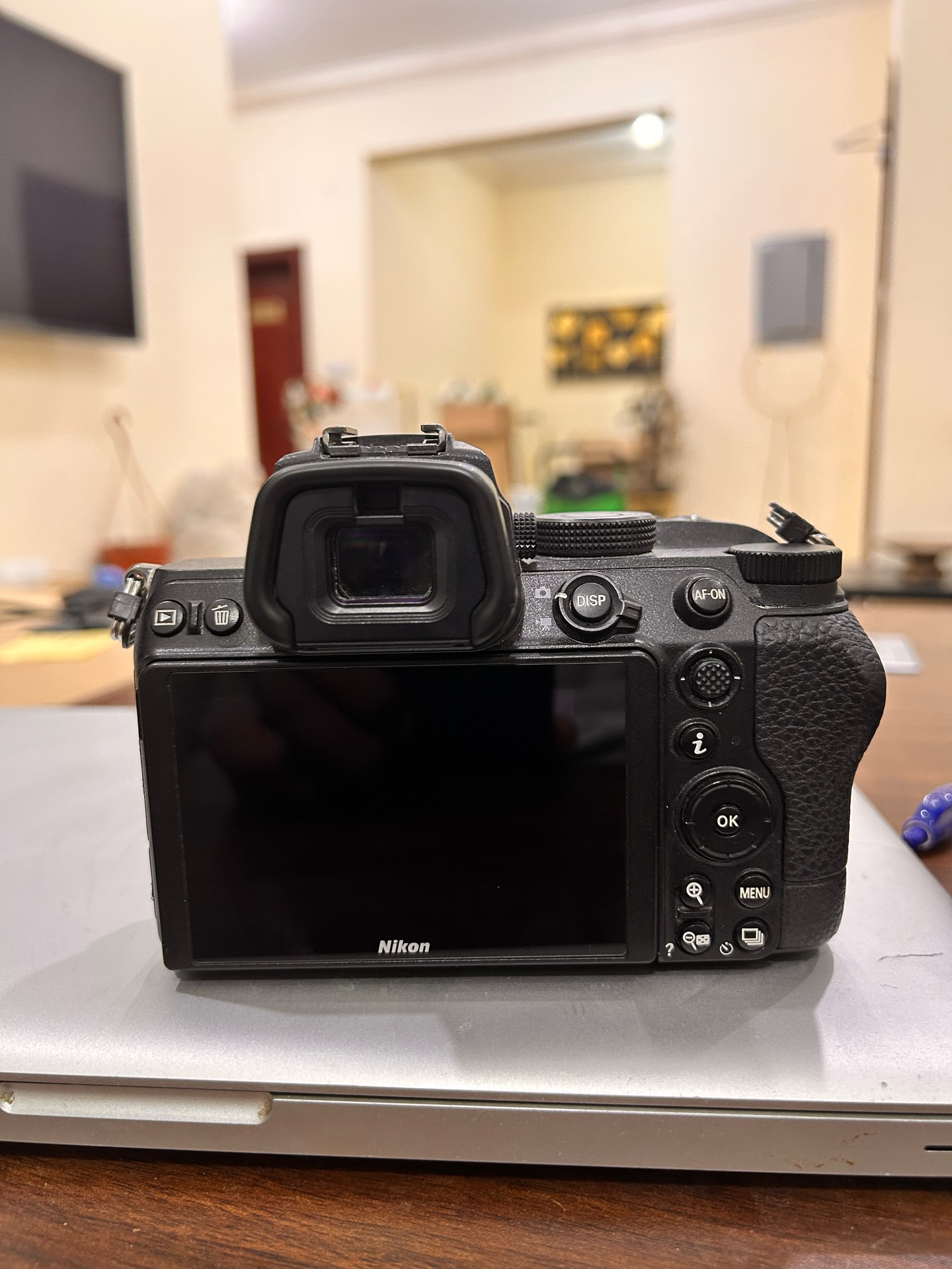 Nikon Z5 - Image 3
