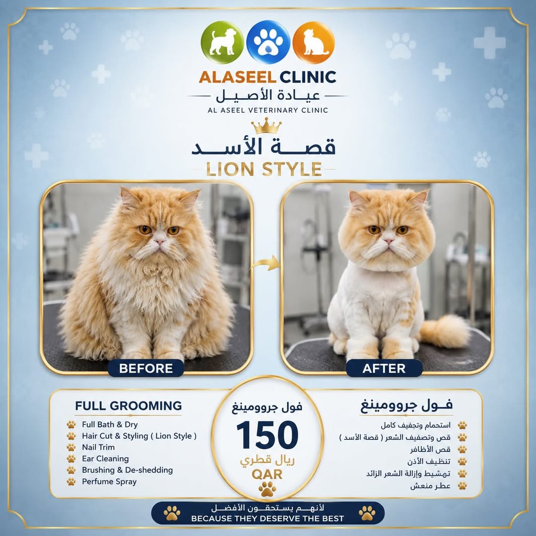 Premium Pet Grooming—Al Aseel Veterinary Clinic|From 150 QAR - Image 3
