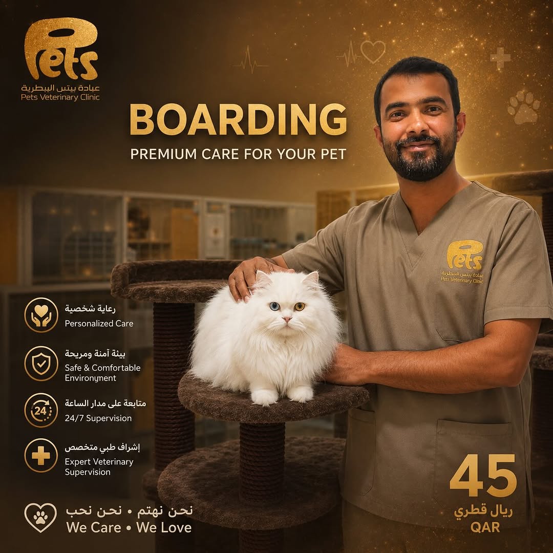 Trusted Veterinary Boarding Care for Dogs & Cats | PETS Clinic Qatar - Image 3