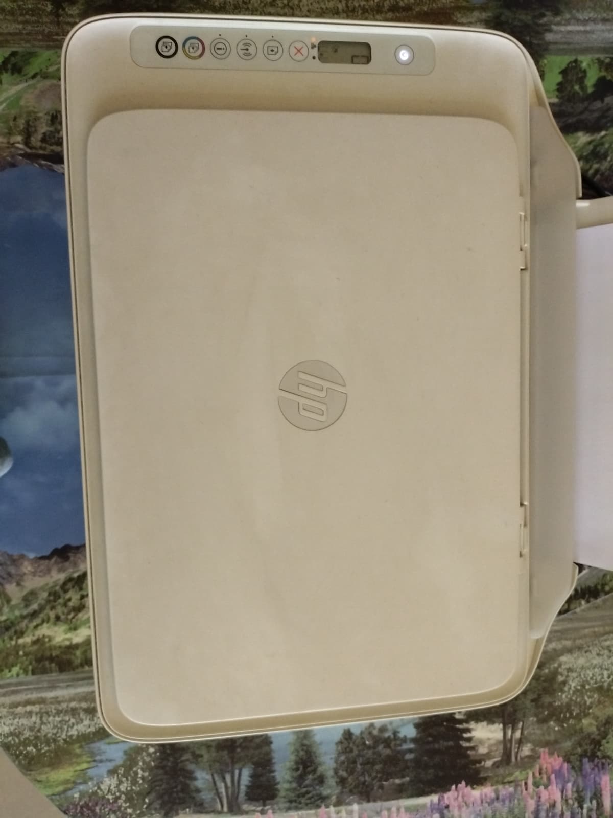 HP Printer for Sale - Image 3