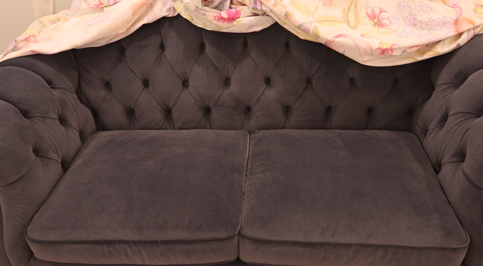 THE ONE velvet blue couches - Image 3