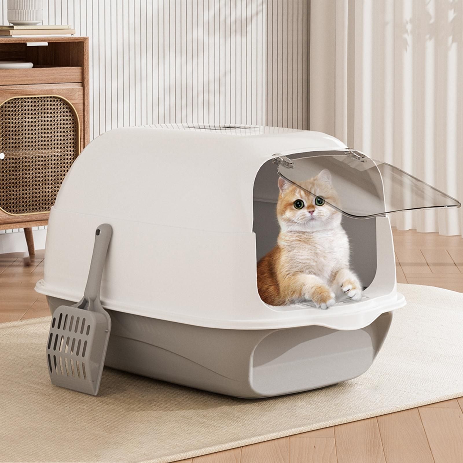 Cat letter box brand new  - Image 3