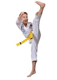 Martial Arts / Karate Do/ Weight Loss & Fitness Training - Image 3