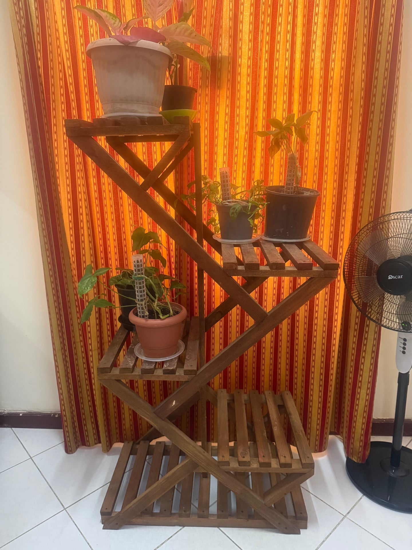 Zigzag plant stand with indoor plant  - Image 2