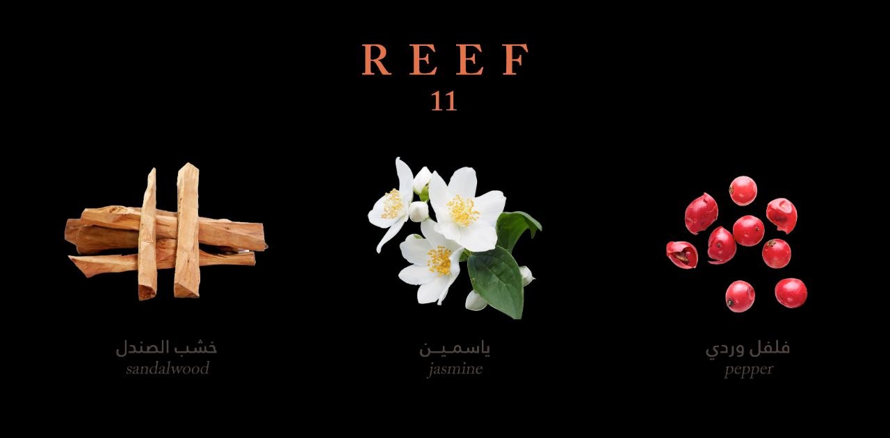 Reef 11 new 100ml unisex - Image 4