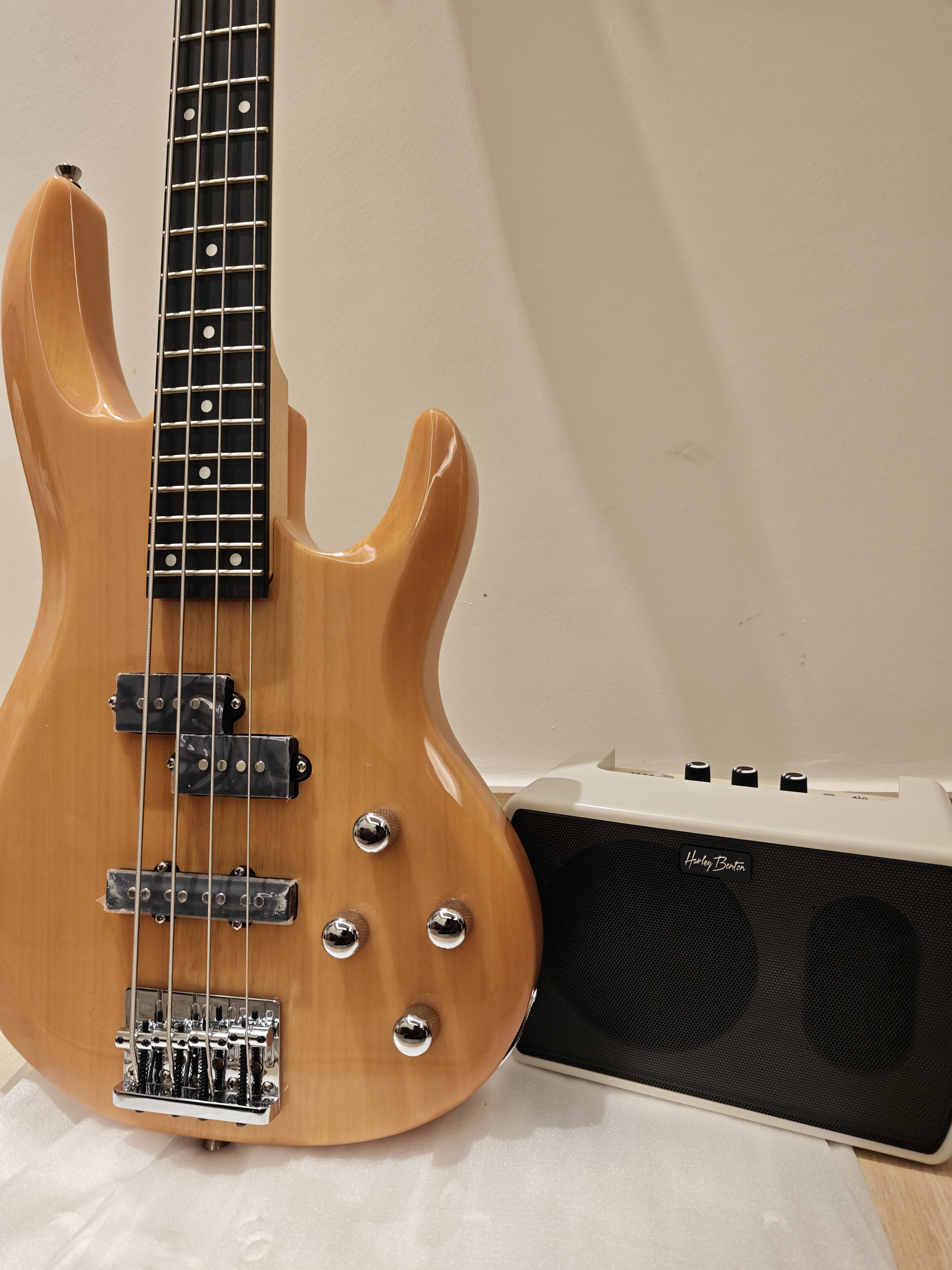 Bass Guitar + Bass Amp - Image 2