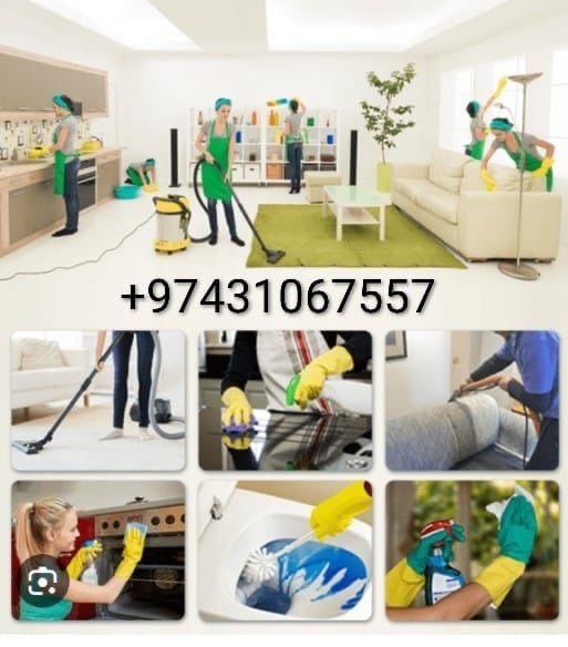 Cleaning and pest control services - Image 6