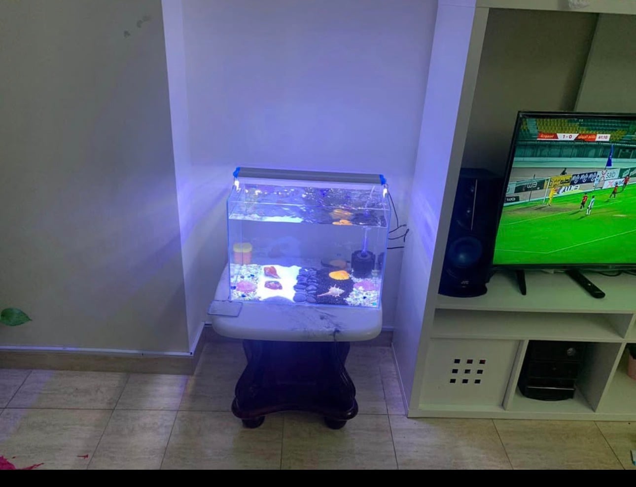 Fish tank - Image 3